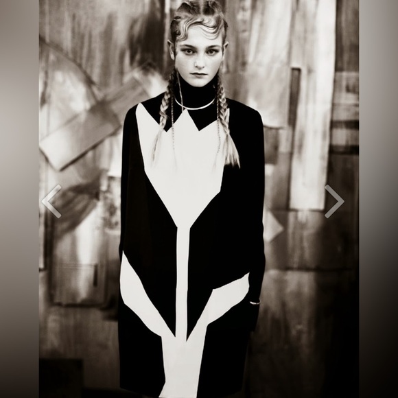 Stella McCartney 2014 Tulip Mini Dress - Picture 3 of 12